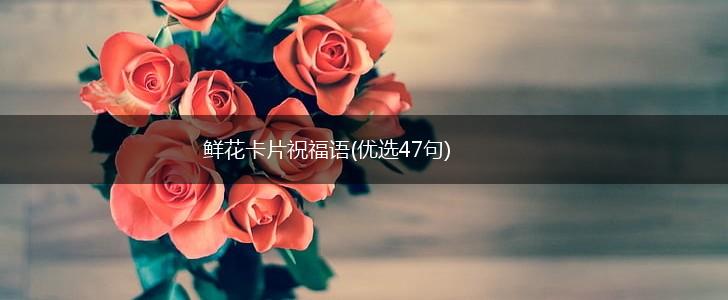 鲜花卡片祝福语(优选47句),第1张