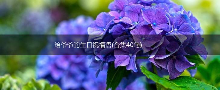 给爷爷的生日祝福语(合集40句),第1张