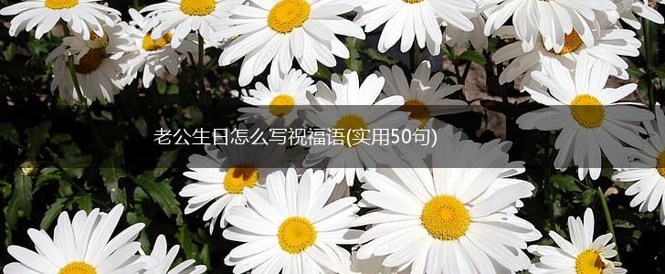 老公生日怎么写祝福语(实用50句),第1张