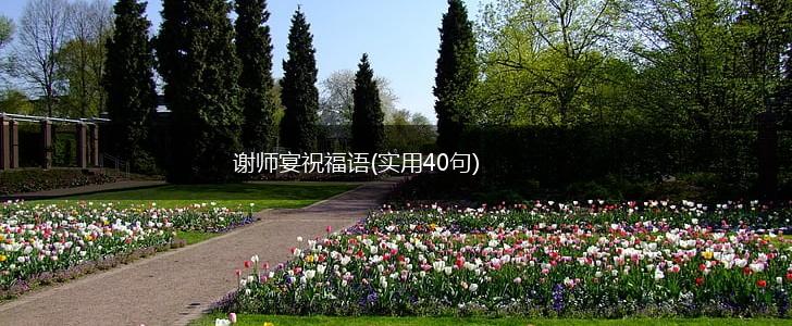 谢师宴祝福语(实用40句),第1张