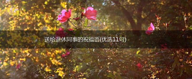 送给退休同事的祝福语(优选11句),第1张 送给退休同事的祝福语(优选11句),第1张