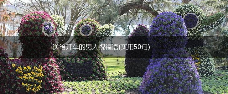 送给开车的男人祝福语(实用50句),第1张