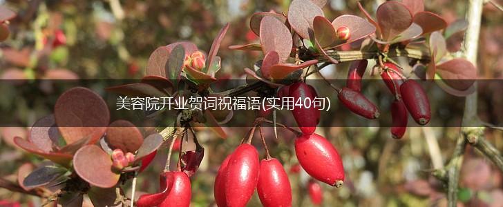 美容院开业贺词祝福语(实用40句),第1张