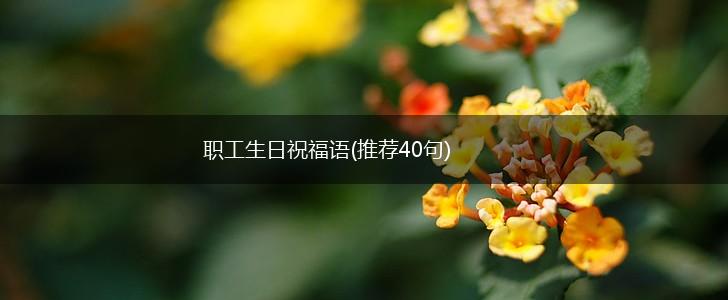 职工生日祝福语(推荐40句),第1张
