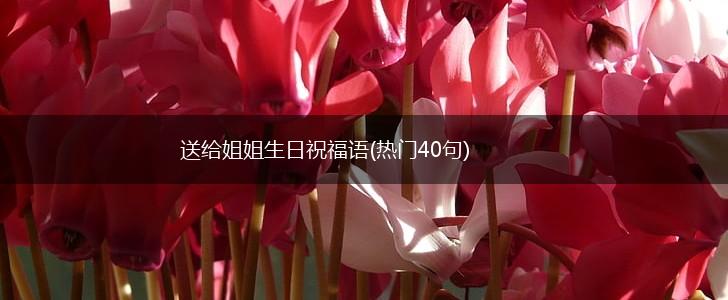 送给姐姐生日祝福语(热门40句),第1张 送给姐姐生日祝福语(热门40句),第1张