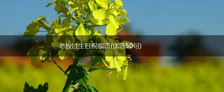 老板过生日祝福语(优选50句),第1张