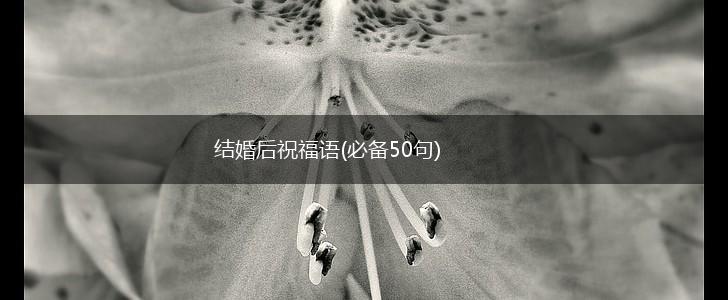 结婚后祝福语(必备50句),第1张