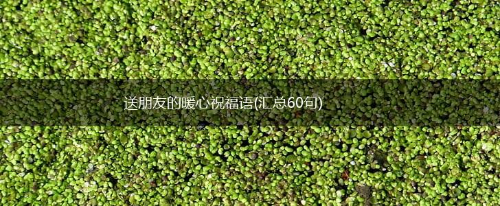 送朋友的暖心祝福语(汇总60句),第1张