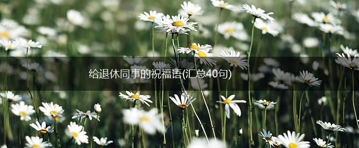 给退休同事的祝福语(汇总40句),第1张 给退休同事的祝福语(汇总40句),第1张