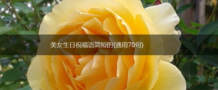 美女生日祝福语简短的(通用70句),第1张