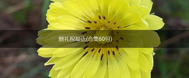 随礼祝福语(合集60句),第1张