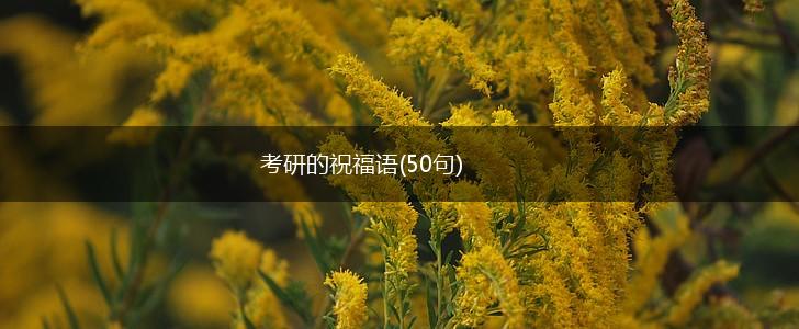 考研的祝福语(50句),第1张 考研的祝福语(50句),第1张