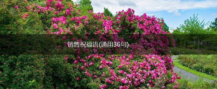 销售祝福语(通用36句),第1张