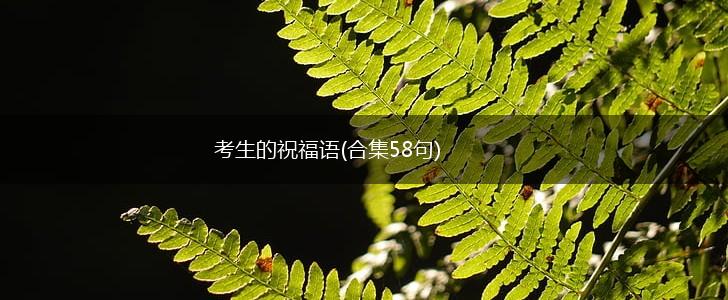 考生的祝福语(合集58句),第1张