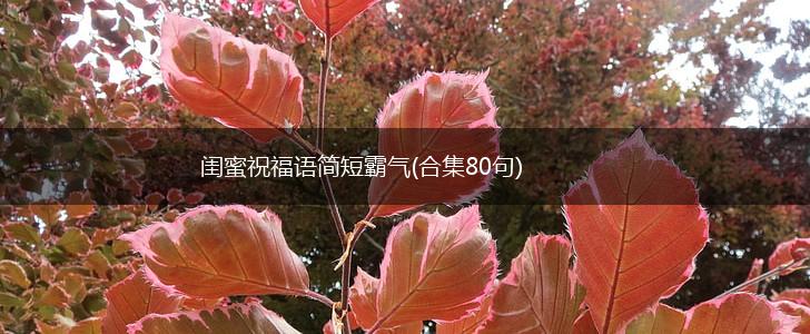 闺蜜祝福语简短霸气(合集80句),第1张