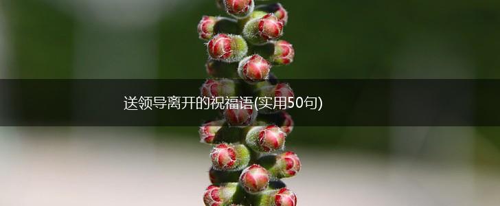 送领导离开的祝福语(实用50句),第1张 送领导离开的祝福语(实用50句),第1张