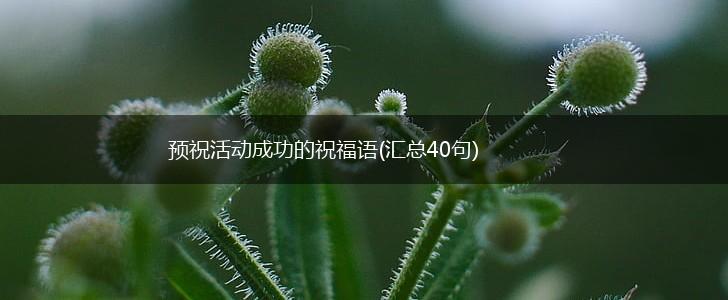 预祝活动成功的祝福语(汇总40句),第1张