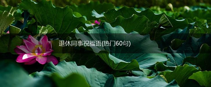 退休同事祝福语(热门60句),第1张 退休同事祝福语(热门60句),第1张