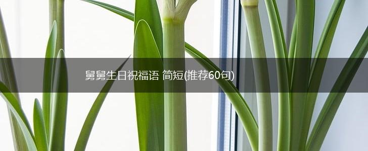 舅舅生日祝福语 简短(推荐60句),第1张