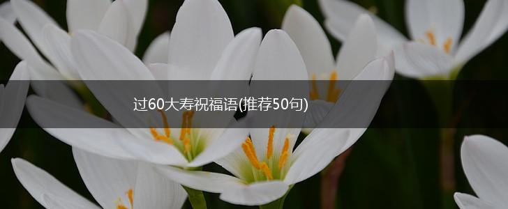 过60大寿祝福语(推荐50句),第1张