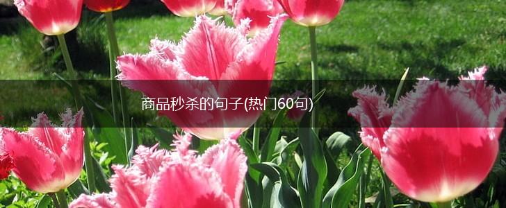 商品秒杀的句子(热门60句),第1张 商品秒杀的句子(热门60句),第1张