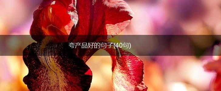 夸产品好的句子(40句),第1张