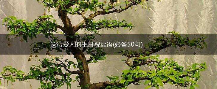 送给爱人的生日祝福语(必备50句),第1张 送给爱人的生日祝福语(必备50句),第1张
