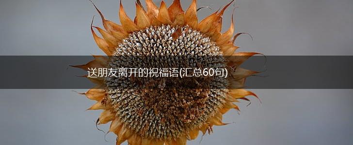 送朋友离开的祝福语(汇总60句),第1张 送朋友离开的祝福语(汇总60句),第1张