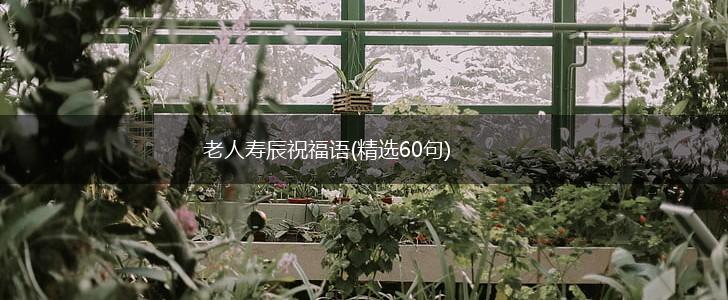 老人寿辰祝福语(精选60句),第1张