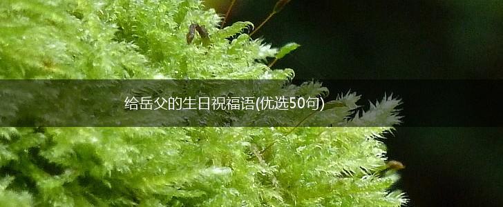 给岳父的生日祝福语(优选50句),第1张