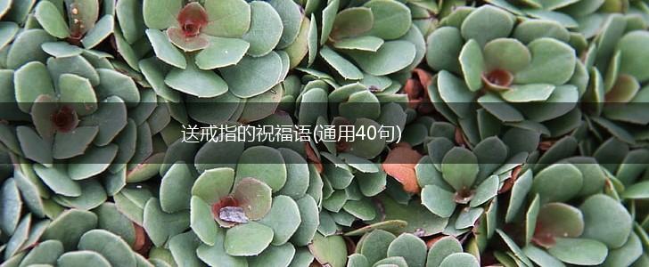 送戒指的祝福语(通用40句),第1张 送戒指的祝福语(通用40句),第1张