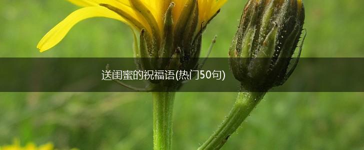 送闺蜜的祝福语(热门50句),第1张