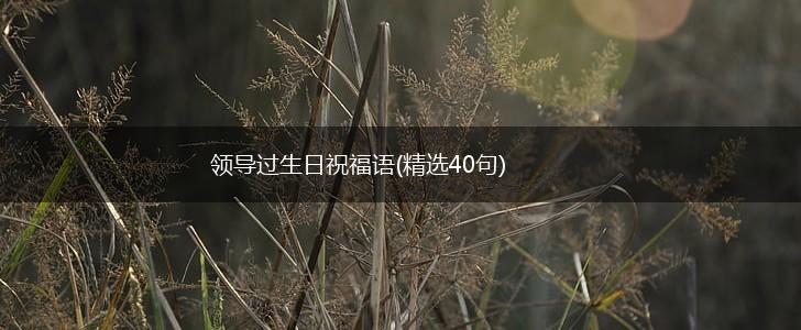 领导过生日祝福语(精选40句),第1张