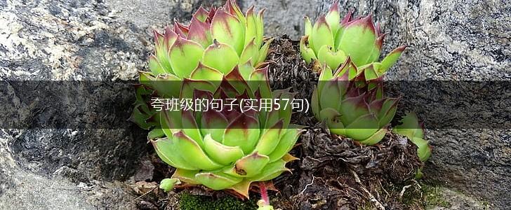 夸班级的句子(实用57句),第1张