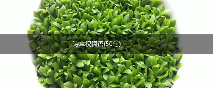 诗意祝福语(50句),第1张