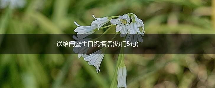 送给闺蜜生日祝福语(热门5句),第1张