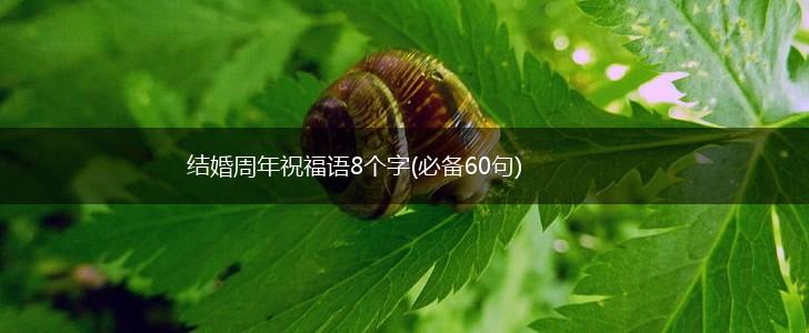 结婚周年祝福语8个字(必备60句),第1张 结婚周年祝福语8个字(必备60句),第1张