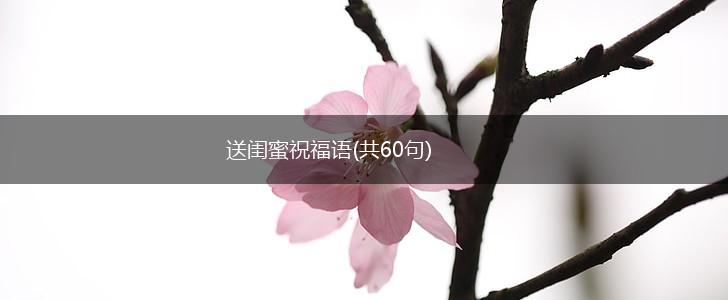 送闺蜜祝福语(共60句),第1张
