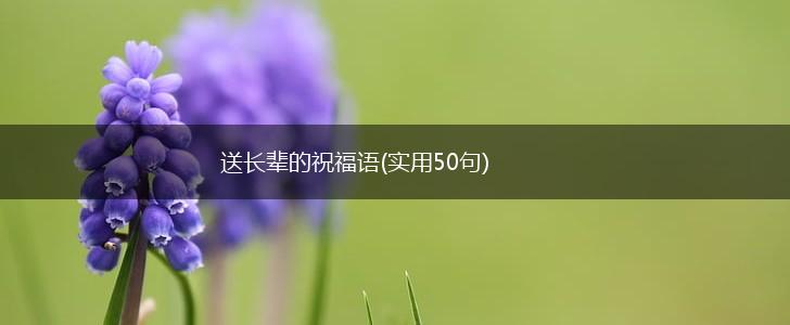 送长辈的祝福语(实用50句),第1张