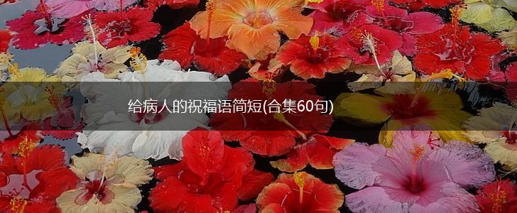 给病人的祝福语简短(合集60句),第1张