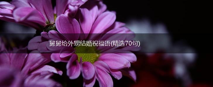 舅舅给外甥结婚祝福语(精选70句),第1张