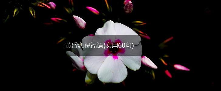 黄昏恋祝福语(实用60句),第1张