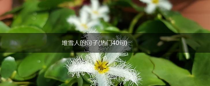 堆雪人的句子(热门40句),第1张
