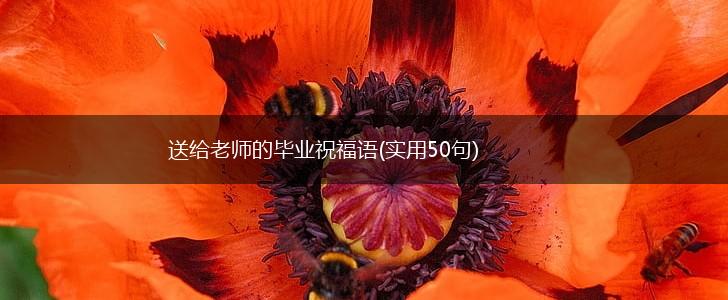 送给老师的毕业祝福语(实用50句),第1张 送给老师的毕业祝福语(实用50句),第1张