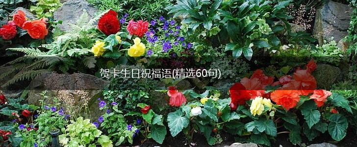 贺卡生日祝福语(精选60句),第1张