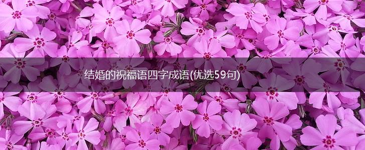 结婚的祝福语四字成语(优选59句),第1张