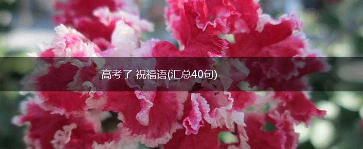 高考了 祝福语(汇总40句),第1张