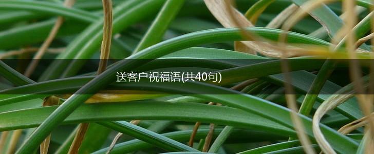 送客户祝福语(共40句),第1张