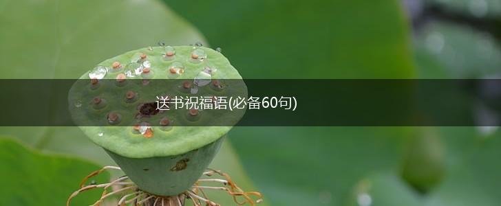 送书祝福语(必备60句),第1张 送书祝福语(必备60句),第1张