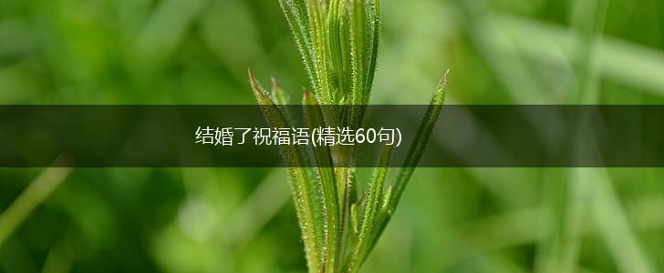 结婚了祝福语(精选60句),第1张